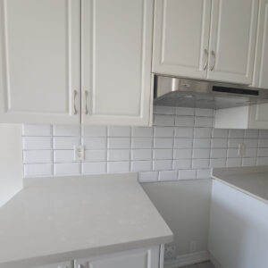 halcyon renovation canada (12)